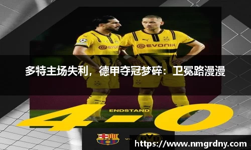 DB旗舰官网