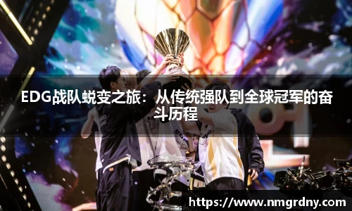 DB旗舰官网