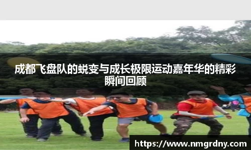 DB旗舰官网