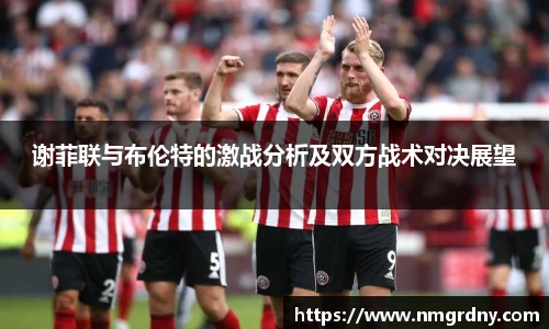 DB旗舰官网
